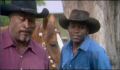 dr dolittle 3-avi_603.jpg